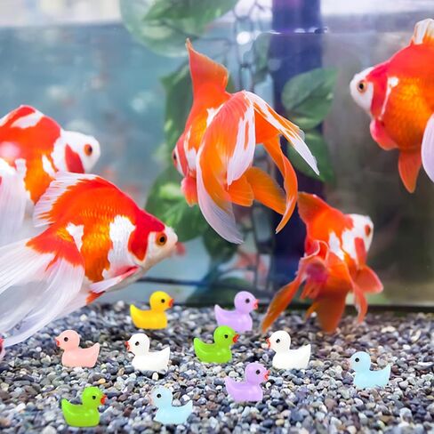 100 قطعة من البط الراتنج الصغير الملون من DERAYEE، تماثيل صغيرة مصغرة، حديقة خرافية صغيرة، منظر طبيعي لحوض السمك، بيت الدمى، زينة نباتات بوعاء للحرف اليدوية لديكورات المنزل والمكتب in Kuwait