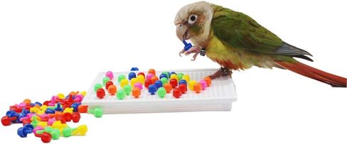 QBLEEV Bird Toys for Parakeets, Bird Intelligence Training Toy, Parrot Puzzle Toys Plastic Bird Educational Toys, Cockatiel Foraging and Chewing Toys, Conure Cage Accessories for Budgie Finch Lovebird in Kuwait