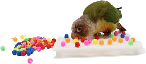 QBLEEV Bird Toys for Parakeets, Bird Intelligence Training Toy, Parrot Puzzle Toys Plastic Bird Educational Toys, Cockatiel Foraging and Chewing Toys, Conure Cage Accessories for Budgie Finch Lovebird in Kuwait