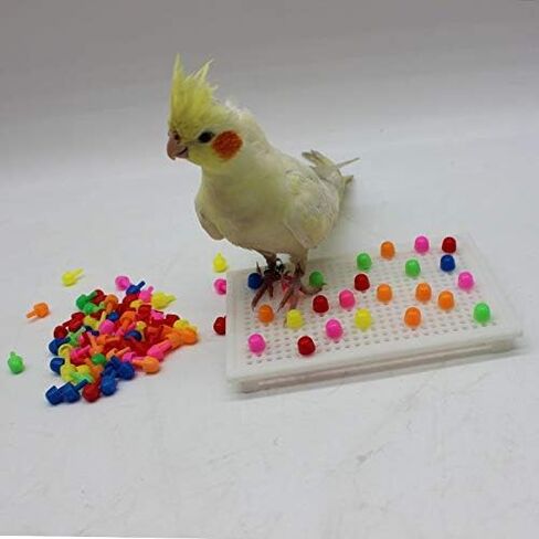 QBLEEV Bird Toys for Parakeets, Bird Intelligence Training Toy, Parrot Puzzle Toys Plastic Bird Educational Toys, Cockatiel Foraging and Chewing Toys, Conure Cage Accessories for Budgie Finch Lovebird in Kuwait