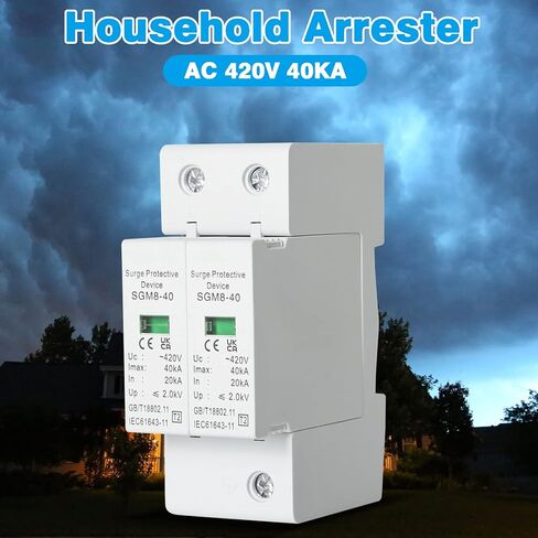 واقي التيار 40KA، استجابة سريعة 420 فولت تيار متردد 2P صواعق الجهد المنخفض للمنزل، حماية متينة in Kuwait