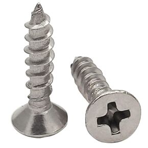 100pcs M4x40mm Stainless Flat Head Phillips Self-Tapping Wood Screw 18-8 (304) Stainless Steel Screw