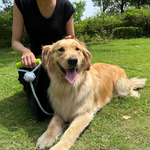 Rope Dog Leash 6ft Long with Blue Penguin Decoration,Traffic Padded Two Handle for Control Safety Training Leashes for Small Medium Large Dogs（6ft,Blue） in Saudi Arabia