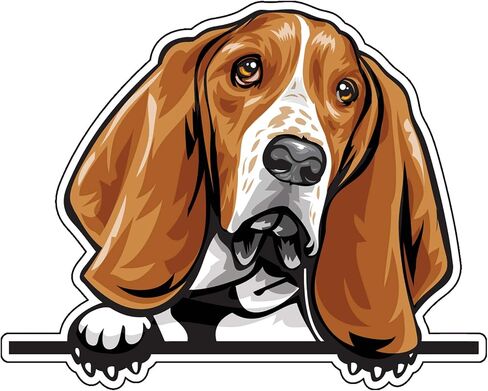 ملصق من الفينيل من WickedGoodz Basset Hound - ملصق ممتص للصدمات من سلالة الكلاب - لأجهزة الكمبيوتر المحمولة والنوافذ والسيارات والشاحنات والجدران in Saudi Arabia