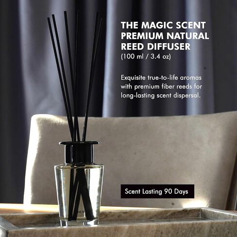 ناشر رائحة القصب الأبيض للمنزل - ناشر رائحة زخرفية فاخرة مع قصب من الألياف الممتازة لتوزيع لطيف يدوم طويلاً - رائحة طبيعية وخالية من السموم مستوحاة من فندق 1، ميامي in Kuwait