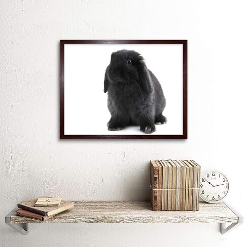 Wee Blue Coo Black Holland Lop Bunny Rabbit Unframed Wall Art Print Poster Home Decor Premium in Kuwait