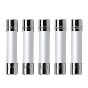 Beaquicy Microwave Fuse 20 Amp 250V Ceramic Fuse Cartridge Fuse Slow-Blow WB27X10388 Replacement for G-E Ken-More Microwave (5-Pack)