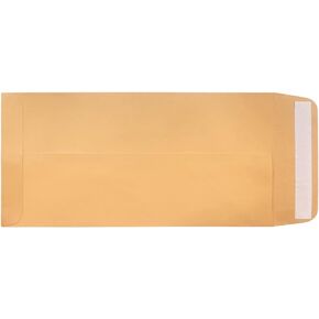 License Plate Envelopes - Self Seal - Blank (Package of 100)