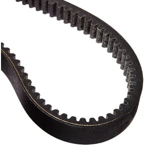 Dayco HP2017 Outdoor Activity Belt, Black