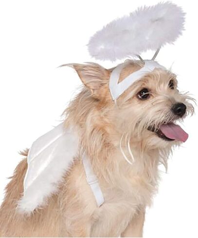 Rubie's Angel Halo and Wings Pet Costume Accessory Set, Medium to Large, Multicolor in Saudi Arabia