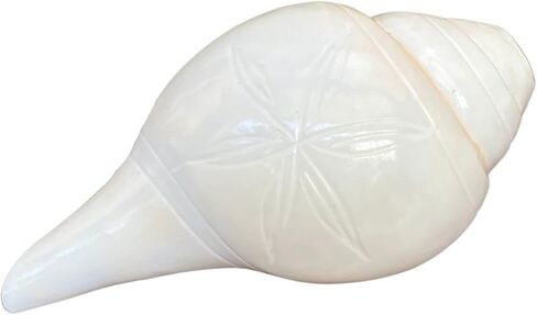 نايشا شانخ لبوجا، صدفة محارة، أبهيمانتريت داكشينفارتي فالامبوري سانجو فامافارتي داتاتريا - طقوس بوجا شانخنااد لاكشمي شانخ للمعبد (3.5 بوصة) in Kuwait