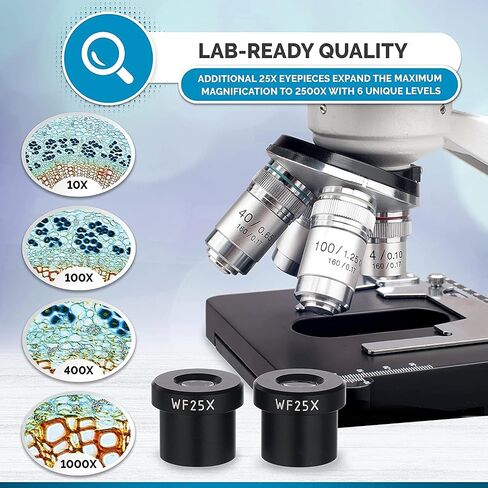 AmScope - مجهر LED Darkfield 40X-2500X ثنائي العينين مع رأس Siedentopf - B120C-DK in Saudi Arabia