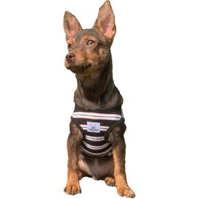 YQYS Dog Shirts Multi-Color Striped Cotton Vest for Small Dogs and Cats Puppy Clothes Teacup Dog Clothing Tank Top for Chihuahua Miniature Pinscher Black XLarge