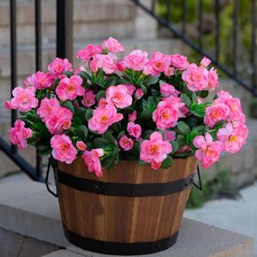 Artificial Faux Outdoor Flowers Plants for Spring Summer Decoration, Fake Silk Camellia UV Resistant Look Real for Planter Outside Front Door Porch Patio Balcony, 3 Bundles