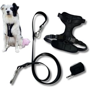 Tito's Closet Dog Harness Walking Set - Includes Comfort Fit Harness, Durable Leash and Covenient Poop Bag Carrier (Blue, Small)