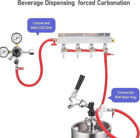 Roastove 4-Way Gas Manifold CO2 Distributor Manifold 5/16 inch Barb/Stem Splitter Beer Integrated Check Valves Homebrew Beer Making Brewing Tool-CO2 gas input at LEFT side+5CLAMPS in Saudi Arabia