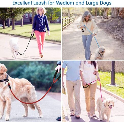 5 FT Beautifully Dog Leash with Comfortable Padded Handle and Highly Reflective Threads Dog Leashes for Medium and Large Dogs in Kuwait