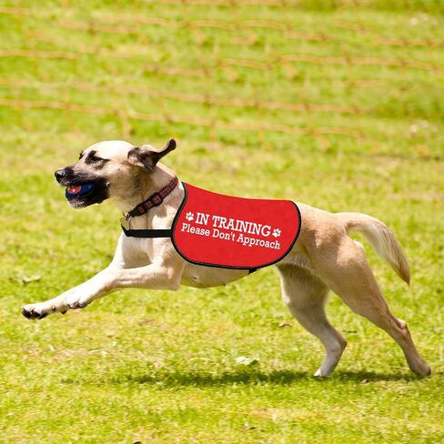JXGZSO Nervous Do Not Approach Dog Jacket Vest Nervous Rescue Space Dog Vest Dog Walking Slogan Warning Vest (Training Approach L) in Saudi Arabia