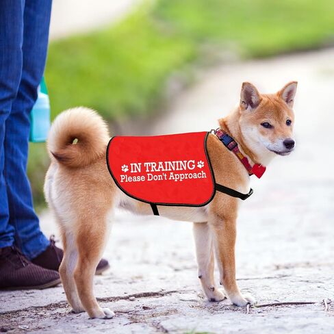 JXGZSO Nervous Do Not Approach Dog Jacket Vest Nervous Rescue Space Dog Vest Dog Walking Slogan Warning Vest (Training Approach L) in Saudi Arabia