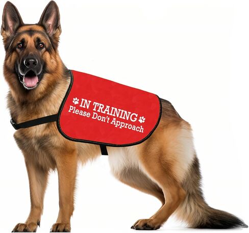 JXGZSO Nervous Do Not Approach Dog Jacket Vest Nervous Rescue Space Dog Vest Dog Walking Slogan Warning Vest (Training Approach L) in Saudi Arabia