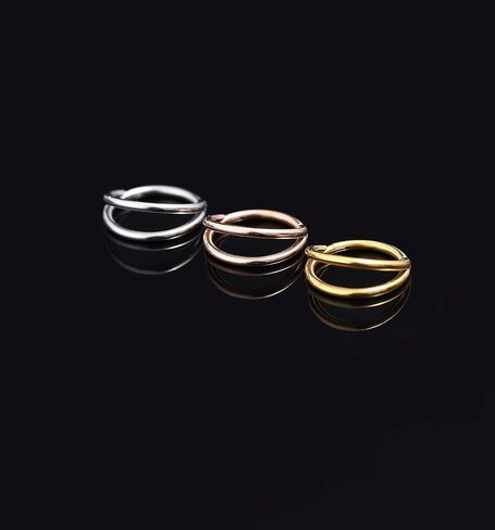TOBENY 3PCS 18G 16G Nose Rings Hoops for Women Teen Girls CZ Hinged Segment Nose Piercings 316L Surgical Steel Nose Septum Clicker Ring Helix Cartilage Conch Rook Earrings Piercing Jewelry 8mm 10mm in Saudi Arabia