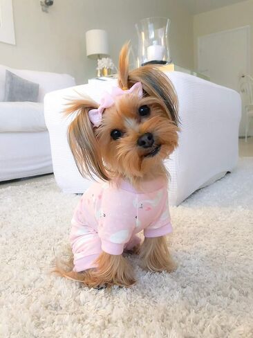 Parisian Pet Dog Pajamas - Cute Cat/Dog Onesie Size M - Pink Swan - Ideal Everyday Outfit for Female Dogs and Female in Saudi Arabia