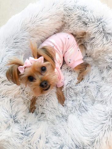 Parisian Pet Dog Pajamas - Cute Cat/Dog Onesie Size M - Pink Swan - Ideal Everyday Outfit for Female Dogs and Female in Saudi Arabia