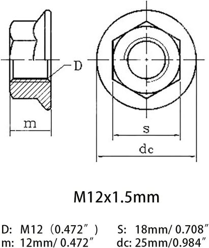 M10x1.0mm 304 Stainless Steel Fine Thread Flange Hex Nuts Lock Nuts 5pcs in Saudi Arabia