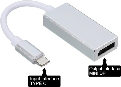 MECCANIXITY Type C to Display Port (DP) Adapter Video Converter USB-C Cable External HD DP Device for HDTV, Projectors, Monitor, Silver Grey in Saudi Arabia