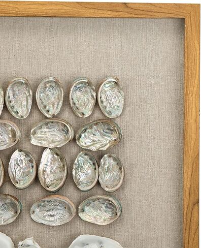 A and B Home 23.6 بوصة ارتفاع مربع الشكل باللونين الأبيض والبيج PS/Shell Ocasta Shell Shadow Boxes (مجموعة من 2)، ديكور حائط فني للمنزل والمكتب in Saudi Arabia