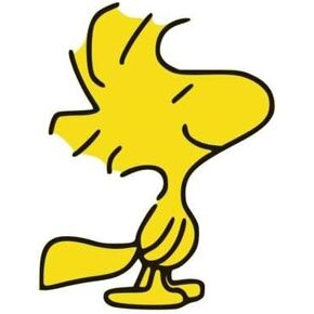 Woodstock Peanuts Snoopy USA Laptop - Sticker Graphic - Auto, Wall, Laptop, Cell, Truck Sticker for Windows, Cars, Trucks