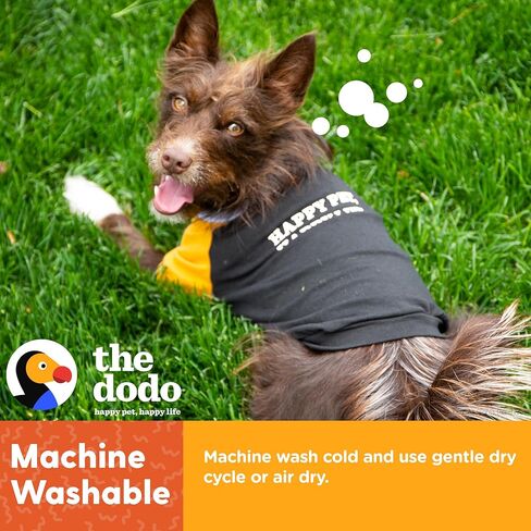 تي شيرت Dodo Happy Pet Happy Life Dog، لون أسود؛ حجم كبير؛ الملابس اليومية للكلاب، تي شيرت لطيف للكلاب، ملابس لطيفة للكلاب، مجموعة الدودو للكلاب in Kuwait