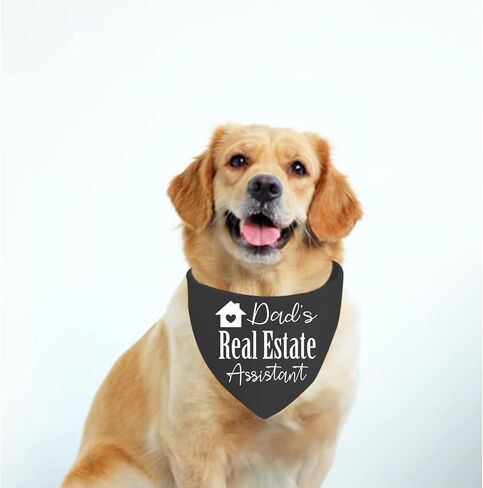 JXGZSO 1 Piece Real Estate Dog Bandana Mom's/Dad’s Real Estate Assistant Dog Bandana Real Estate Assistant Cat Scarf (Dad Real Estate D) in Saudi Arabia