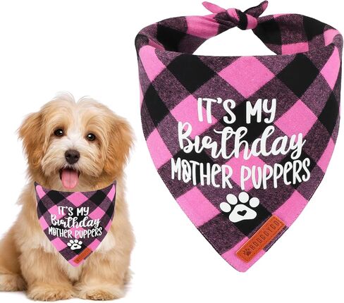 ADOGGYGO Dog Birthday Bandana, Multi Size Offered, Blue Plaid Birthday Boy Dog Bandana for Large and Extra Large Dogs Pets (Blue, X-Large) in Saudi Arabia