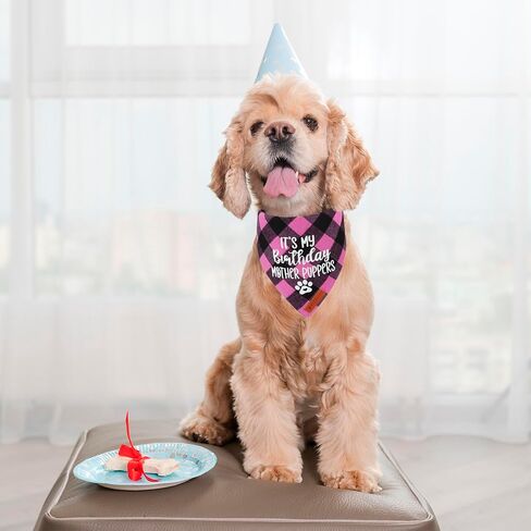 ADOGGYGO Dog Birthday Bandana, Multi Size Offered, Blue Plaid Birthday Boy Dog Bandana for Large and Extra Large Dogs Pets (Blue, X-Large) in Saudi Arabia