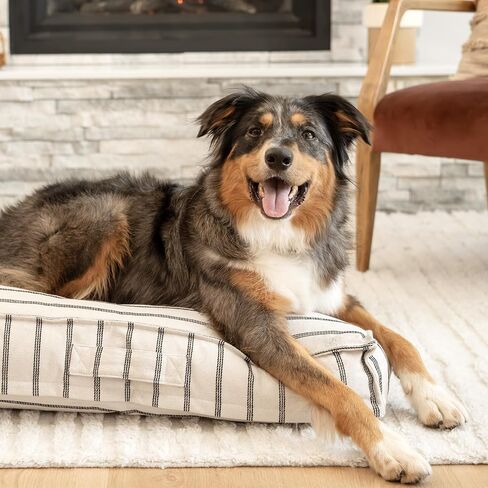 سرير وسادة مخطط هاري باركر - كبير in Kuwait