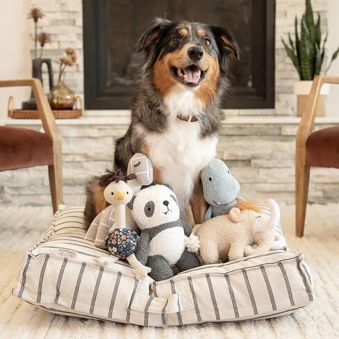 سرير وسادة مخطط هاري باركر - كبير in Kuwait