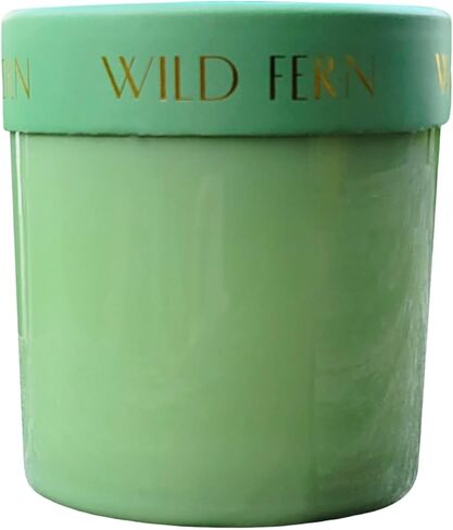 شركة باديواكس فايرفلاي كاندل كو. شموع معطرة مع مزيج شمع الصويا وجرة زجاجية قابلة لإعادة الاستخدام للعطور المنزلية والعلاج العطري - 7 أونصة، خشب البتولا المملح in Kuwait