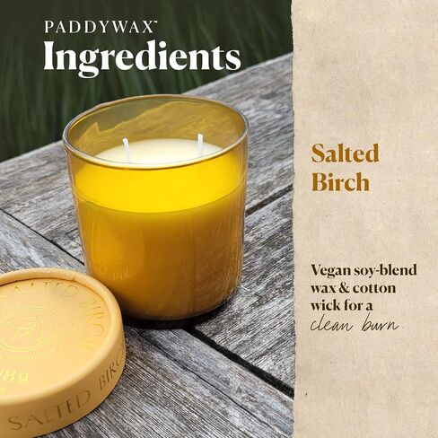 Paddywax Firefly Candle Co. Optimist Scented Candles with Soy Wax Blend and Reusable Glass Jar for Home Fragrance and Aromatherapy - 7 Ounce, Salted Birch in Saudi Arabia
