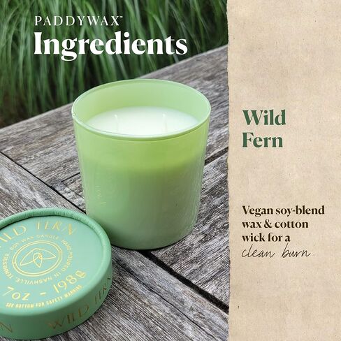 شركة باديواكس فايرفلاي كاندل كو. شموع معطرة مع مزيج شمع الصويا وجرة زجاجية قابلة لإعادة الاستخدام للعطور المنزلية والعلاج العطري - 7 أونصة، خشب البتولا المملح in Kuwait