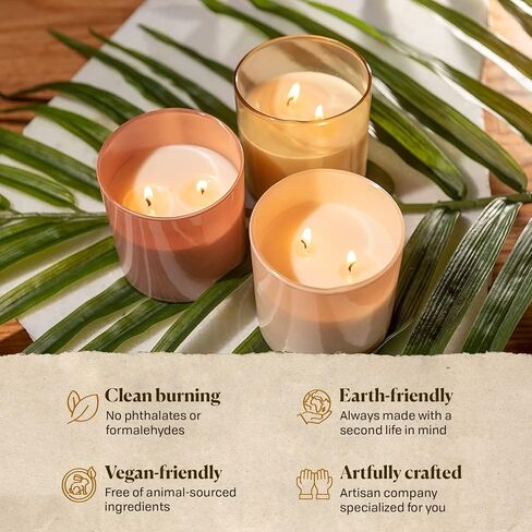 Paddywax Firefly Candle Co. Optimist Scented Candles with Soy Wax Blend and Reusable Glass Jar for Home Fragrance and Aromatherapy - 7 Ounce, Salted Birch in Saudi Arabia