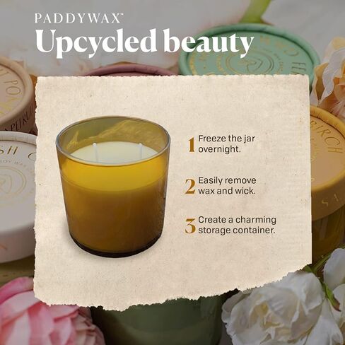 Paddywax Firefly Candle Co. Optimist Scented Candles with Soy Wax Blend and Reusable Glass Jar for Home Fragrance and Aromatherapy - 7 Ounce, Salted Birch in Saudi Arabia