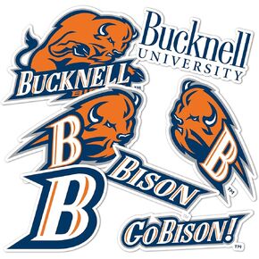 Desert Cactus Bucknell University Bison Stickers Vinyl Decals Laptop Water Bottle Car Scrapbook T2 (Type 2)