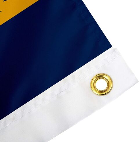 Desert Cactus West Virginia University Flag Mountaineers Banners 100% Polyester Indoor Outdoor 3x5 feet Flags (Style 5) in Saudi Arabia