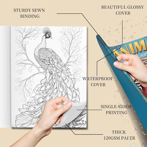 مجموعة 3 كتب تلوين للبالغين للنساء، 60 صفحة تلوين بتصميم الجنيات والحيوانات وكتب تلوين ماندالا لاسترخاء الكبار، كتاب تلوين للكبار، لوازم فنية لتخفيف التوتر in Kuwait