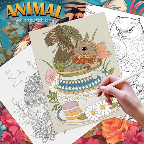 مجموعة 3 كتب تلوين للبالغين للنساء، 60 صفحة تلوين بتصميم الجنيات والحيوانات وكتب تلوين ماندالا لاسترخاء الكبار، كتاب تلوين للكبار، لوازم فنية لتخفيف التوتر in Kuwait