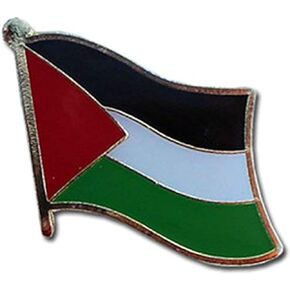 AES Palestine Country Flag Bike Hat Cap Lapel Pin