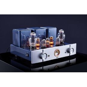 Willsenton R300 Plus Tube Amplifier 300Bx2 Single-Ended Class A Integrated Amplifier Power Amplifier Headphones amp All in One (Silver)