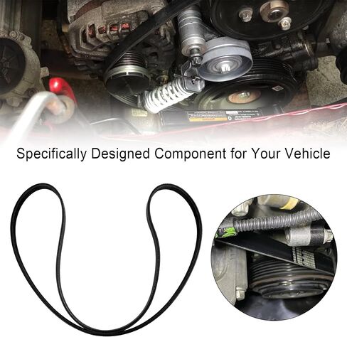 55578811 V-Ribbed Serpentine Belt Fit forChevrolet, Buick, GMC,Cadillac in Saudi Arabia