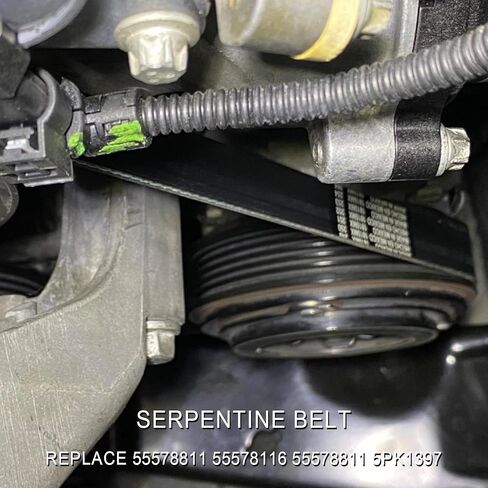 55578811 V-Ribbed Serpentine Belt Fit forChevrolet, Buick, GMC,Cadillac in Saudi Arabia